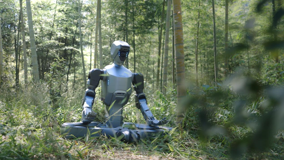 1765262719561606.png 1765262719561606.png