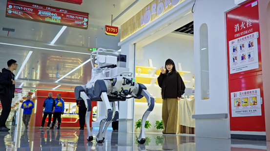 1765262959850965.png 1765262959850965.png